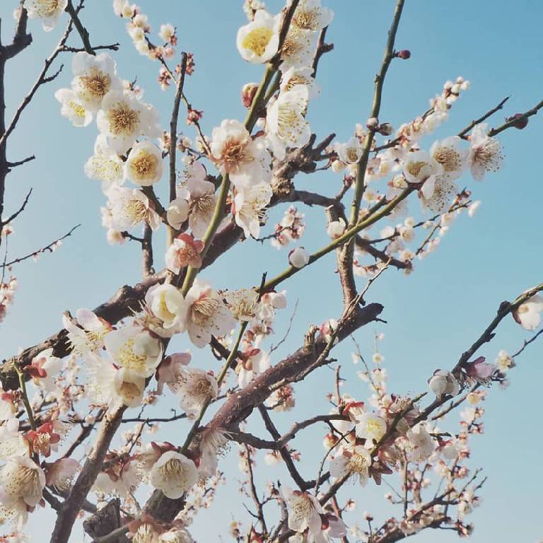 ☆少しずつ暖かくなってきました☆
